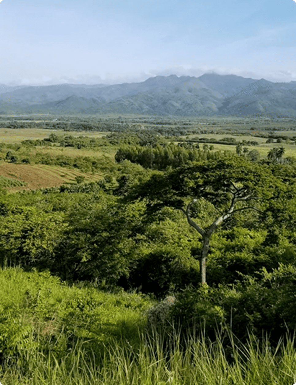 Patrimonios Naturales